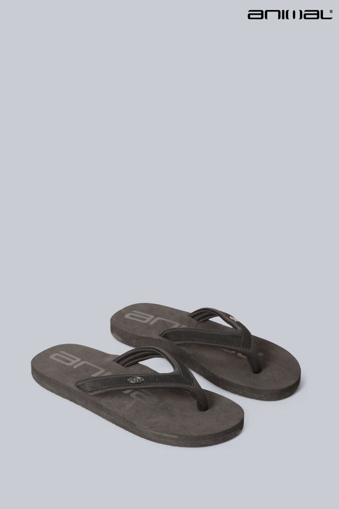 Buy Women s Animal Flip Flop Footwear Online Next UK
