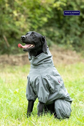 Hugo & Hudson Grey Teal Protective Dog Overalls (T97493) | £35