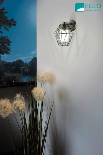 Eglo Black Canove Caged Outdoor Wall Light (TR0649) | £55