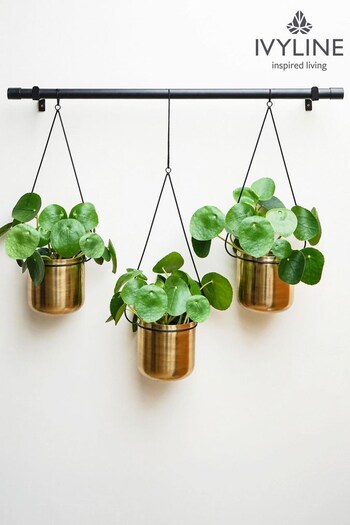 Ivyline Gold Garden Linear Hanger Planters Gold (U00564) | £95