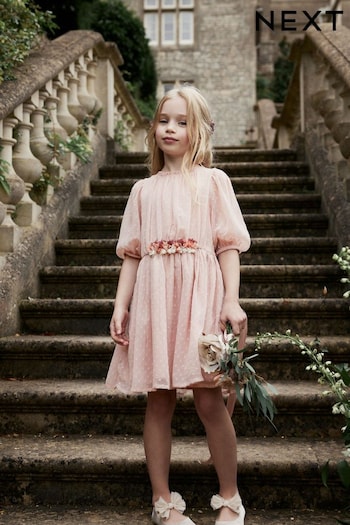 Pink Chiffon Corsage Dress (3-16yrs) (U08256) | £22 - £28