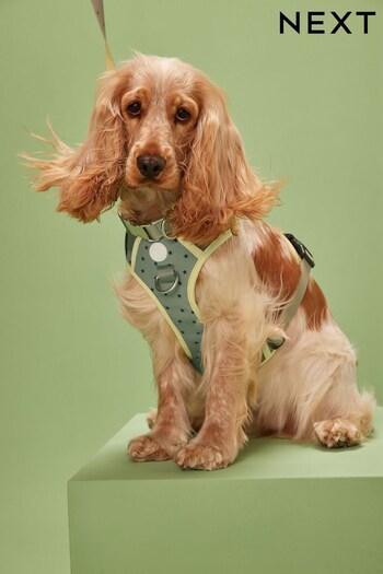 Khaki Green Star Dog Harness (U19599) | £32