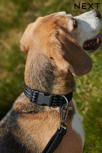 Black Active Dog Collar (U19611) | £14