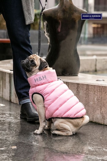 Hugo & Hudson Dark Green and Grey Reversible Dog Puffer Jacket (U23143) | £40