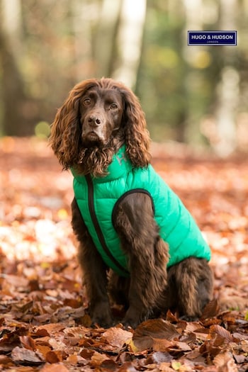 Hugo & Hudson Dark Green and Grey Reversible Dog Puffer Jacket (U23144) | £40