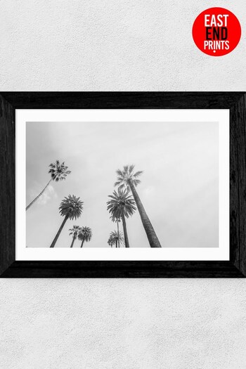 East End Prints Grey 8 Palms Print by Honeymoon Hotel (U30272) | £47 - £132