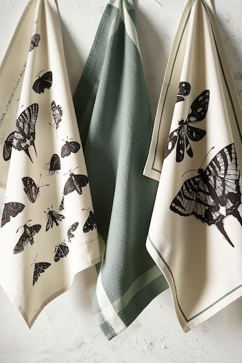 Kew Gardens Set of 3 Green Tea Towels (U36142) | £28