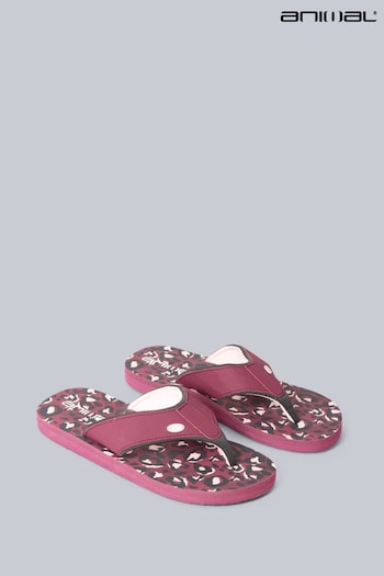 Animal Womens Pink Swish Recycled Flip Flops (U52673) | £22