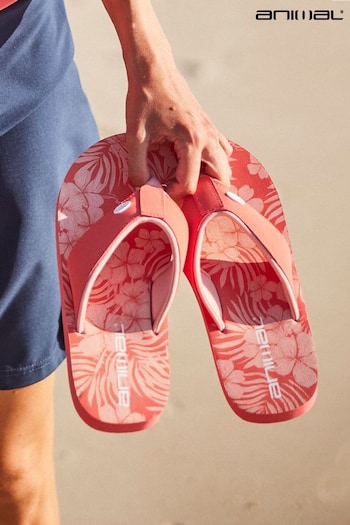 Animal paires Pink Fiery Coral Swish Recycled Flip Flops (U52674) | £22
