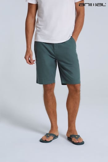 Animal Mens Green Westbay Organic Chino Stripe Shorts (U52681) | £40