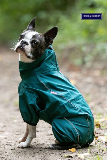 Hugo & Hudson Green Teal Protective Dog Overalls (U52700) | £35