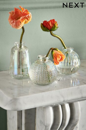 Set of 3 Clear Mini Glass Flower Vases (U56758) | £16