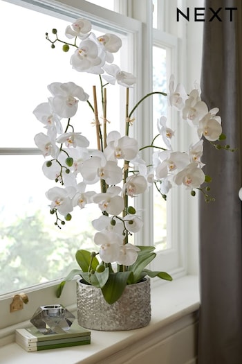 White Large Artificial Real Touch Orchid Plant In Silver Pot (U64035) | £100