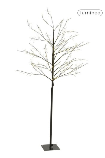 Lumineo Brown Pre-Lit Micro LED 6ft Outdoor Christmas Tree (U69981) | £75