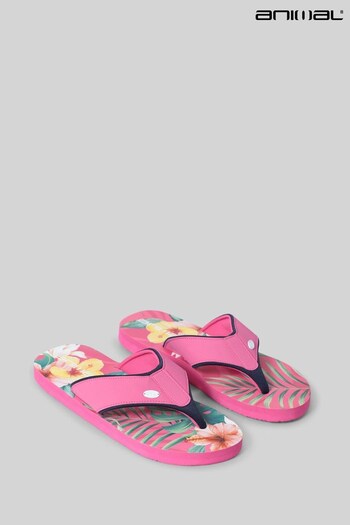 Animal Womens Pink Flip Flops (U72821) | £22