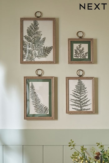Set of 4 Green Botanical Framed Wall Art (U72895) | £45