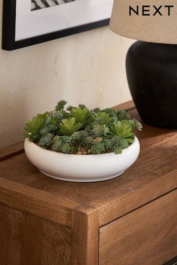 Green Artificial Mixed Succulent Bowl (U75725) | £40
