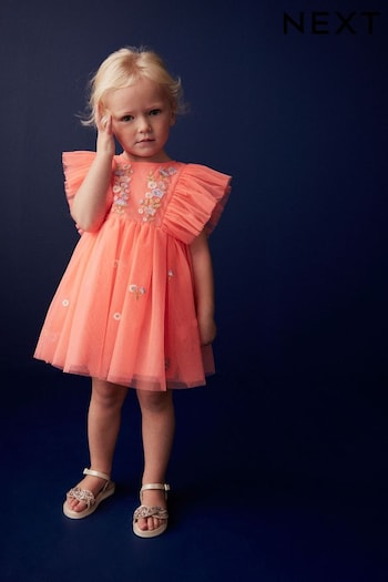 Coral Pink Embroidered Mesh Party Dress (3mths-10yrs) (U78252) | £21 - £27