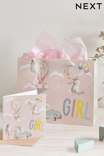 Pink Born In 2023 Baby Gift Bag And Card Set (U80483) | £3.50