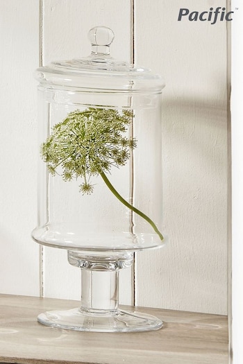 Pacific Verona Clear Glass Large Decorative Jar with Lid (U81542) | £50