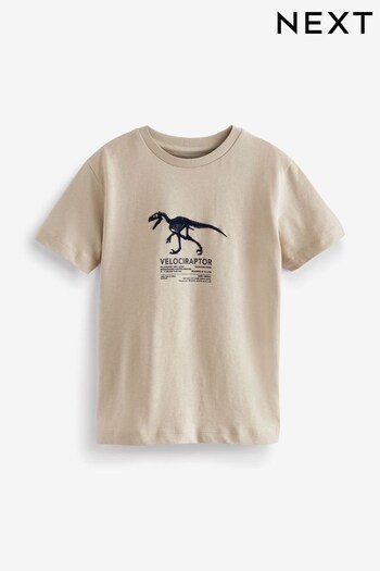 Cement Cream Dino Short Sleeve Graphic T-Shirt (3-14yrs) (U82768) | £7 - £12