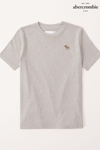 Abercrombie & Fitch Essential Short Sleeve T-Shirt (U90068) | £13