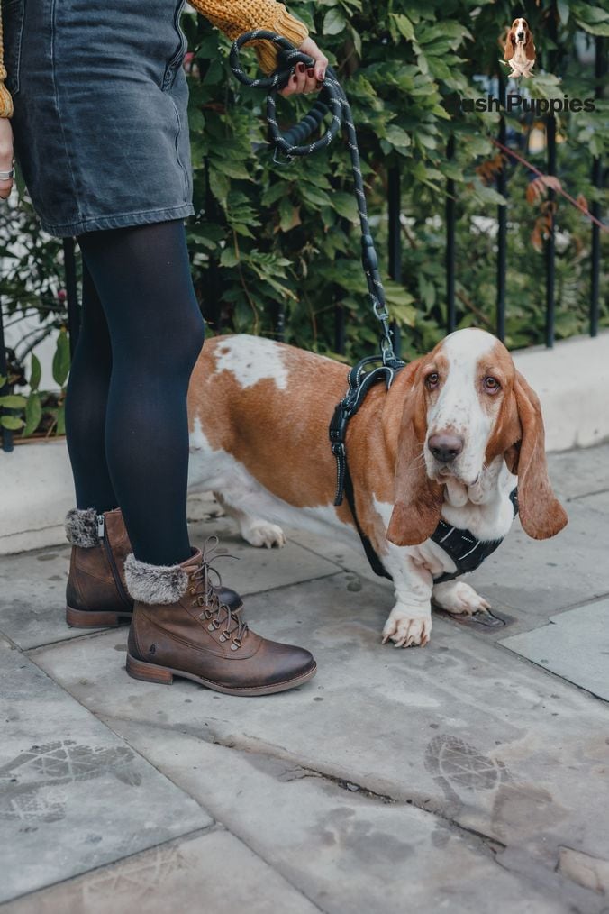 Hush Puppies Boots Black Brown Hush Puppies Boots Next UK