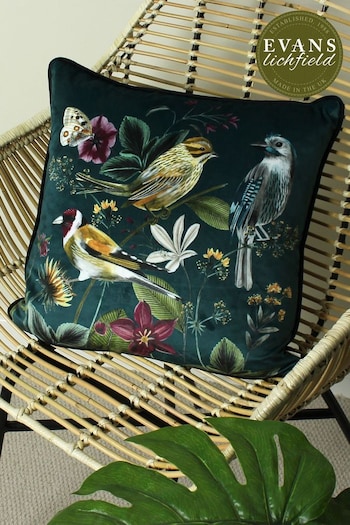 Evans Lichfield Green Multicolour Midnight Garden Birds Piped Velvet Cushion (U96431) | £20