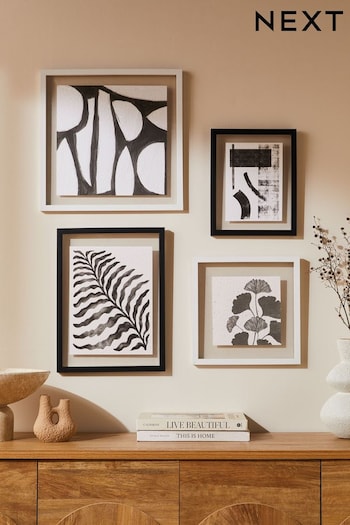 Black/White Framed Botanical and Abstract Wall Arts Set Of 4 (U97236) | £40