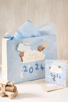 Blue Boy Born in 2024 Gift Bag and Card Set (154304) | kr60