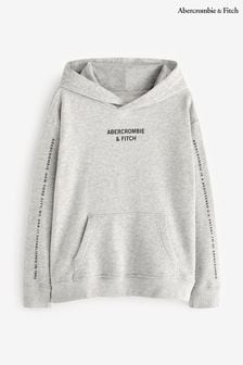 Abercrombie & Fitch Grey Logo Chain Detail Hoodie (187706) | €23
