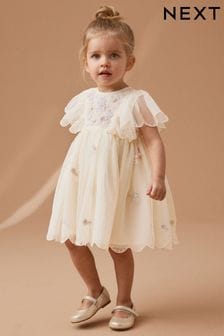 Cream Embroidered Mesh Party Dress (3mths-7yrs) (192442) | €26 - €31