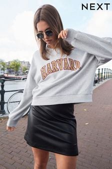 Grey License Harvard University Graphic Collegiate Varsity Slogan Sweatshirt (292019) | OMR15