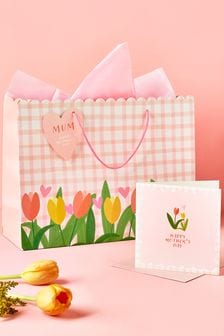 Pink Floral Gingham Mother's Day Gift Bag and Card Set (317524) | ₪ 14
