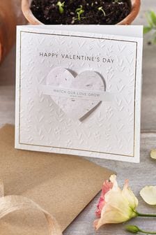 Natural Valentine's Seeded Heart Card (317944) | 7 SAR