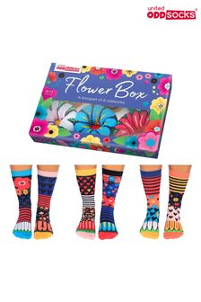 United Odd Socks Black Floral Flower Box Socks (350393) | 102 SAR