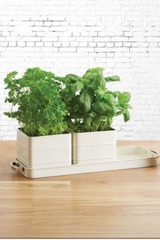 Cream Herb Pots with Tray (365191) | $36