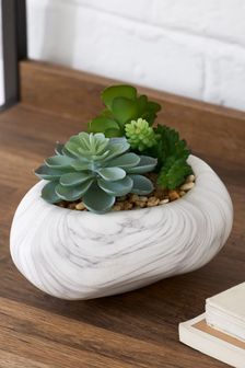 White Artificial Succulent Plants In Marble Effect Pebble (366599) | ₪ 59