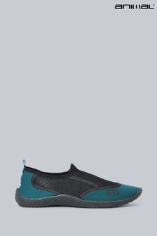 Animal Mens Blue Cove Aqua Shoes (390194) | $48