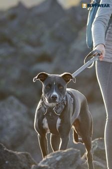 Abbigliamento shop cani vans