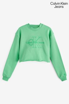 Зеленый монологовый джемпер с вышивкой Calvin Klein Jeans (547631) | €69