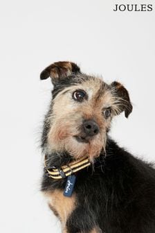 Joules collier pour chien réglable de taille moyenne (602026) | €16 - €19