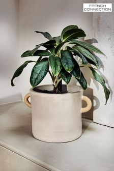 French Connection Natural Large Terracotta Plant Pot (647928) | €68