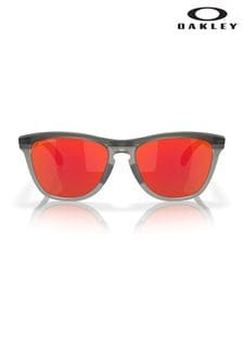 Серый - солнцезащитные очки Oakley Frogskins Range (719441) | €196