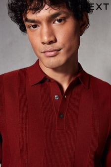 Rust Brown Knitted Regular Fit Textured Stripe Polo Shirt (785220) | kr309