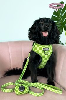 Pawsome Paws Boutique Dark Green Adjustable Dog Harness (823867) | €35