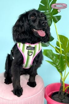 Pawsome Paws Boutique Green Adjustable Dog Harness (824260) | €35