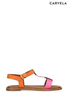 Carvela Pink Solar Sandals (853799) | 5 092 ₴