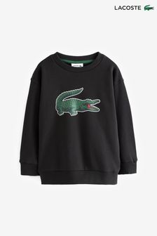 Lacoste Kids Large Logo Black Sweatshirt (935918) | KRW138,800 - KRW149,400
