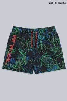 Animal Kids Jed Recycled Printed Boardshorts (968676) | €36